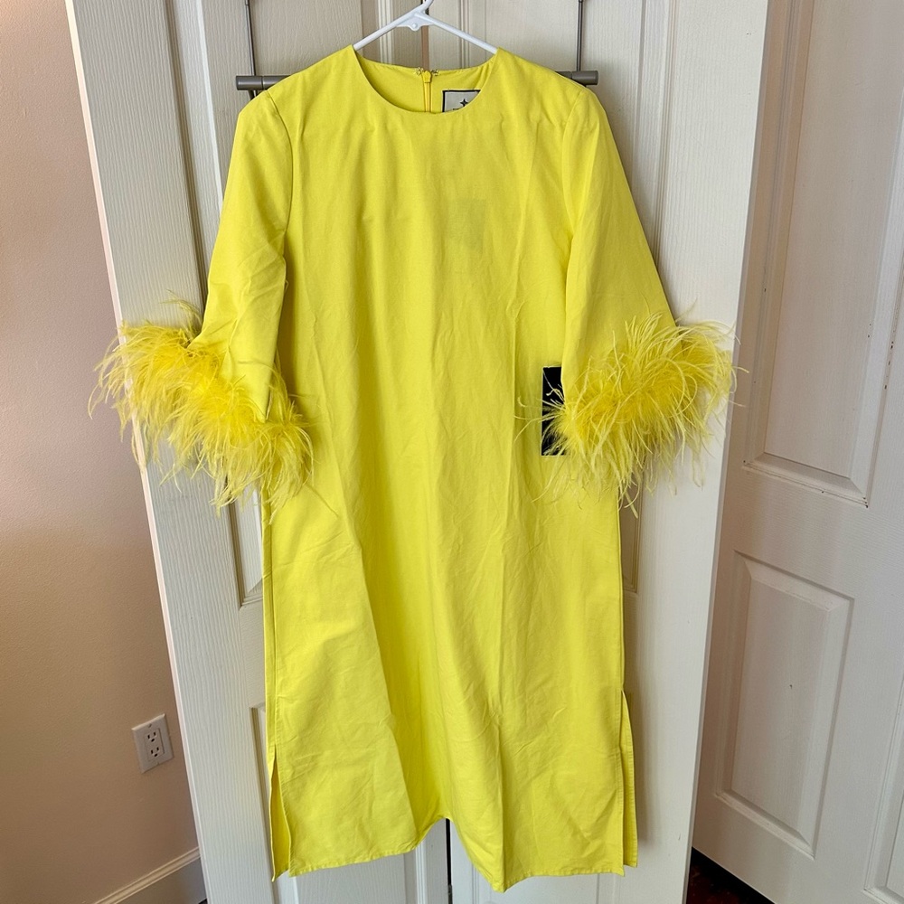 TUCKERNUCK Feather Jamie Dress